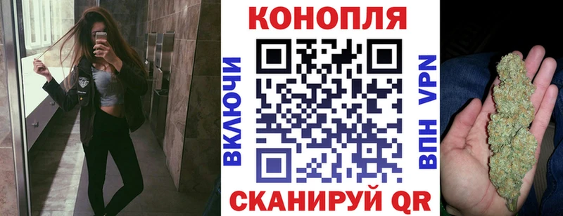 где найти Ликино-Дулёво OMG ONION Конопля тримм
